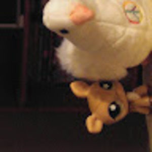 Meet your Posher, Candy